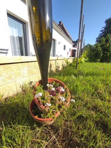 a pot of flowers sitting in the grass at Weingut Thomas Brandl in Strass