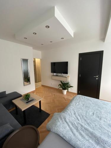 a living room with a bed and a tv at Vist 2 apartment in Tošin Bunar