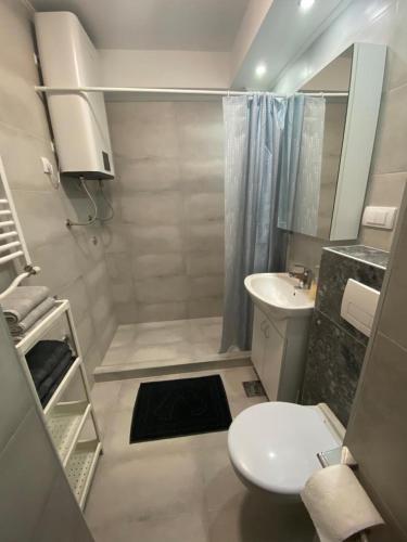 a small bathroom with a toilet and a sink at Vist 2 apartment in Tošin Bunar