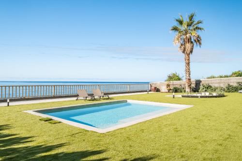 a swimming pool in a field with a palm tree and the ocean at Hilani House by Homie in São Vicente