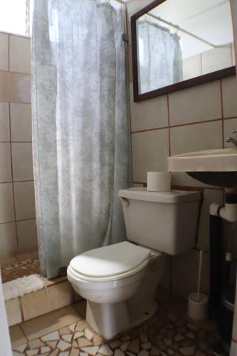 a bathroom with a white toilet and a shower at Coconut Beach House in Playa Conchal
