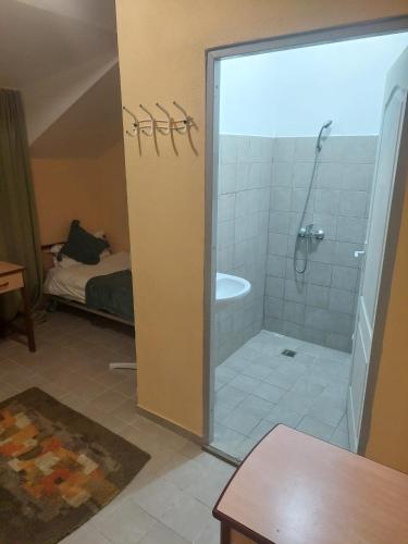 a bathroom with a shower and a bath tub at Casa Emilia Ana Maria in Recaş