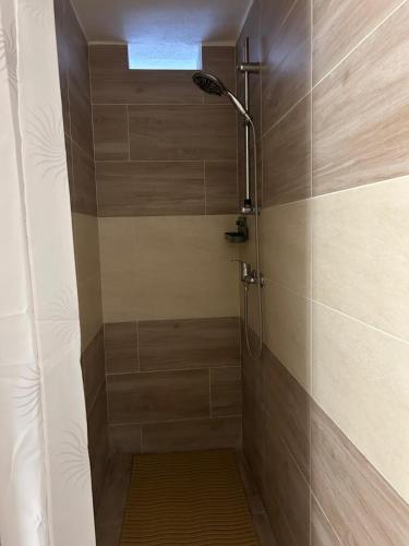a shower with a shower head in a bathroom at PATY apartmán in Haniska