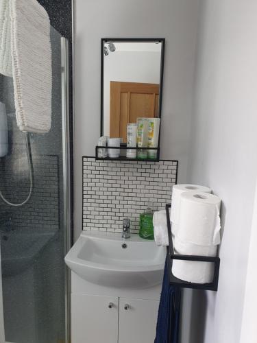a bathroom with a sink and a mirror at Cosy Modern 2 bed Garden view appartment, Parking, TV Wifi in Aberdeen