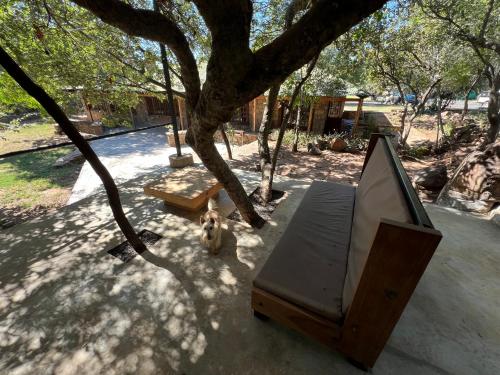 a dog sitting under a tree next to a bench at Nectar Game Lodge in Buffelspoort