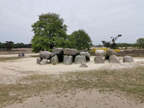 a group of rocks sitting in a field at Ferienhaus 4 Personen bei Giethoorn, Chalet in Holland in De Bult