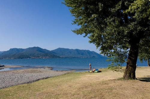 a person standing on a beach next to a tree at Casa del Borgo "Aria & Acqua" sul Lago Maggiore in Maccagno Inferiore