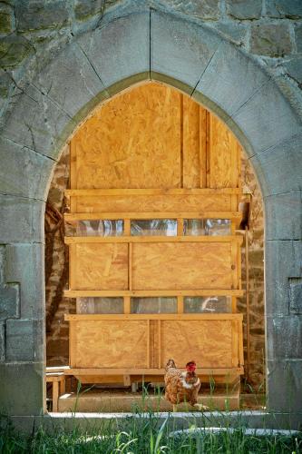 a couple of chickens sitting in front of a wooden wall at Château de Sibra in Lagarde