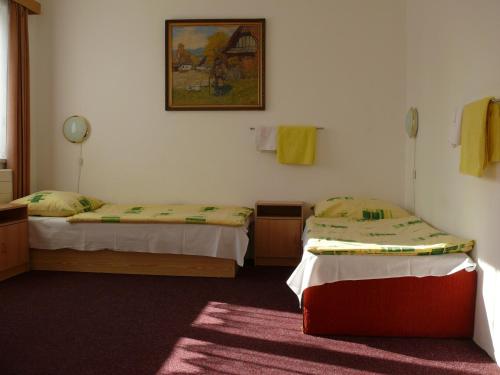 a bedroom with a bed and a desk at Penzion Dana Troja in Prague