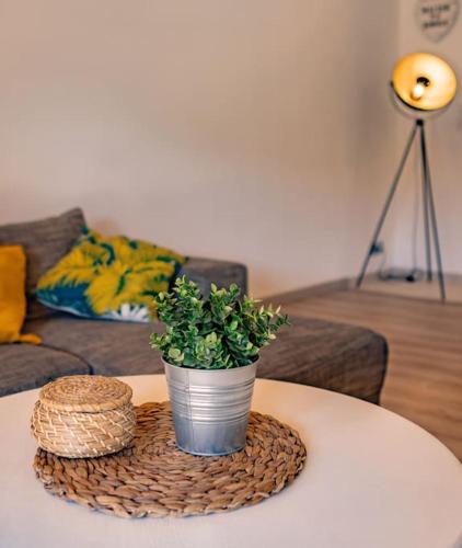 Photo de la galerie de l'établissement Belle Villa, Piscine, climatisée, jardin, à Sainte-Maxime