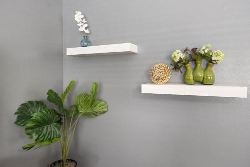 a wall with shelves with vases and plants on it at 2BD in Bartonville close to DT Peoria in Bartonville