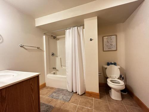 a bathroom with a toilet and a shower and a sink at The Fox Den in Terra Alta