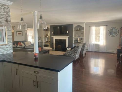 a kitchen and living room with a counter top and a fireplace at Finger Lakes Spacious Keuka Hillside in Hammondsport