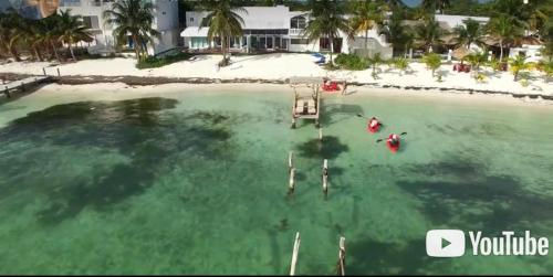 an aerial view of a beach with palm trees at Ocean View PRIVATE BEACH in Cancún