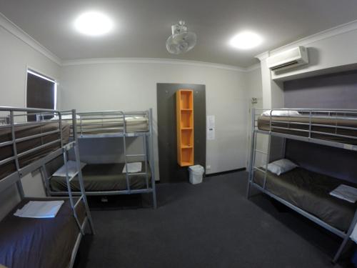 Двухъярусная кровать или двухъярусные кровати в номере Global Backpackers Port Douglas