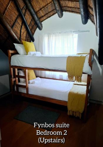 two bunk beds in a room with a window at Mond Kleine Guest House in Kleinmond