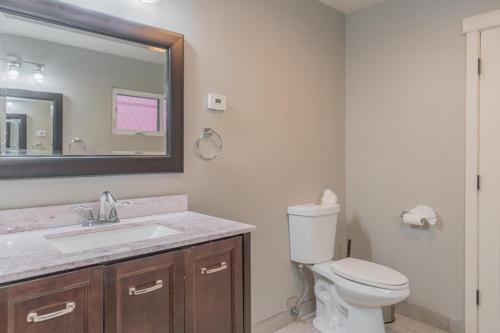 a bathroom with a toilet and a sink and a mirror at The Chetana Ridge Cabin in Fairbanks
