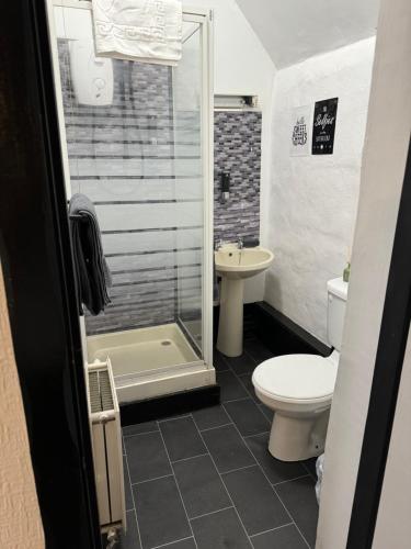 a bathroom with a shower and a toilet and a sink at Ye Olde Black Cross in Bromsgrove