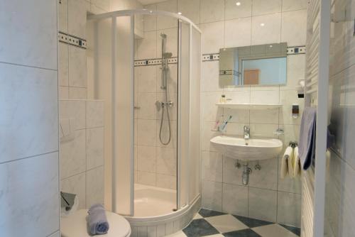 a bathroom with a shower and a toilet and a sink at Haus Friedrichsburg in Bad Hofgastein