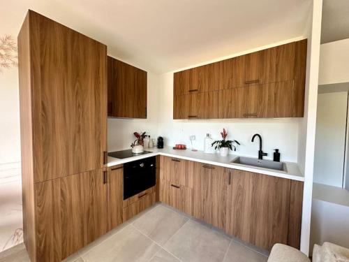 une cuisine avec des armoires en bois et un évier dans l'établissement Appartement Pablo Mougins, à Les Baraques