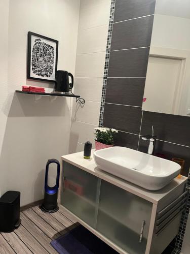 a bathroom with a sink and a mirror at Chambre d'hôtes Le Cadran des Chauvelles in Nevers