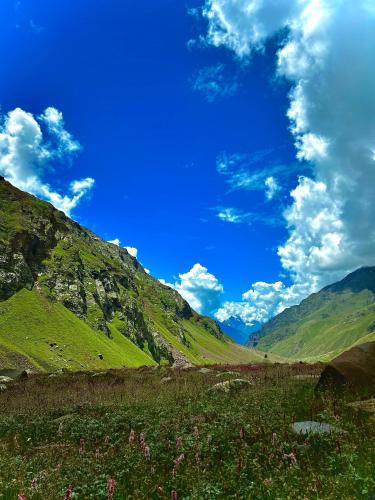 a green hillside with a blue sky and clouds at Vivaan The Sunrise in Manāli