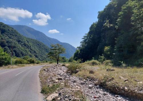 a road with a tree on the side of a mountain at Ali Baba Residence in Gabala