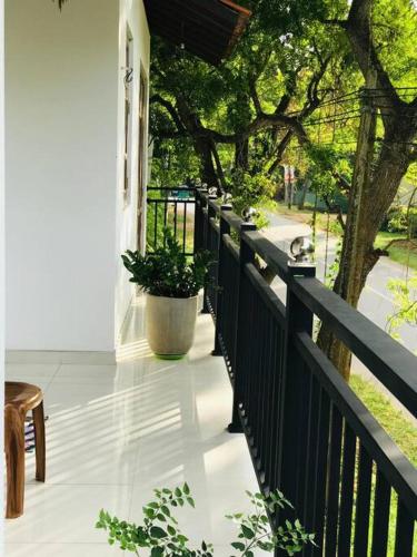 Balkón nebo terasa v ubytování Sigiri villa