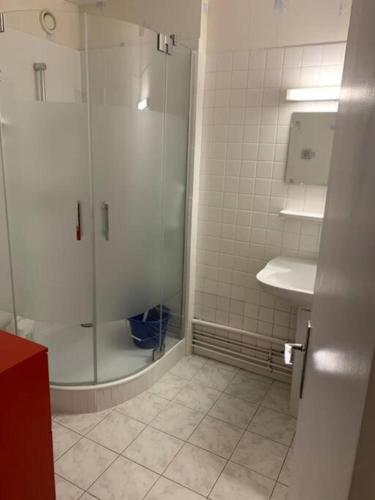 une salle de bain avec douche et lavabo dans l'établissement Reims centre-ville -au1er étage avec 2 chambres - 6 personnes, à Reims