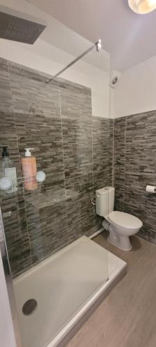 une salle de bain avec toilettes et douche en verre dans l'établissement Le Nid de la Colombe - Hypercentre, à Toulouse