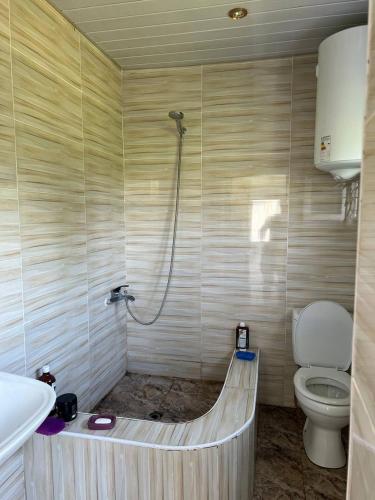 a bathroom with a shower and a toilet at GuestHouse Tekhura in Martvili