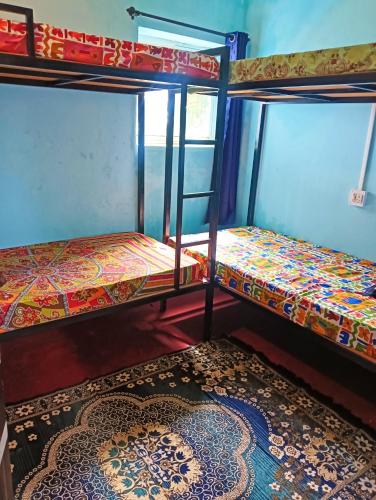 two bunk beds in a room with a rug at Beach Clan Dorms in Alleppey