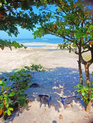two chairs under a tree on the beach at Beach Clan Dorms in Alleppey