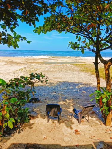 two chairs sitting on the beach under a tree at Beach Clan Dorms in Alleppey