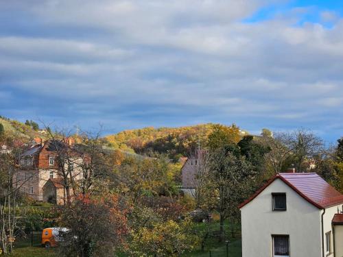 a small white house in front of a mountain at Ferienwohnung mit Weinbergblick in Radebeul