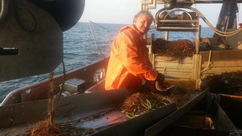 un hombre parado en la parte trasera de un barco en Urlaub beim Reriker Ostseefischer, en Rerik