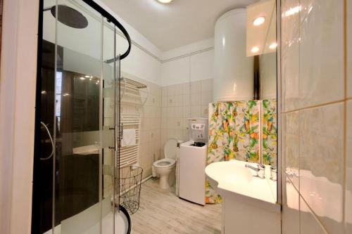 a bathroom with a shower and a sink and a toilet at Rouen Saint Romain - Chez Solange in Rouen