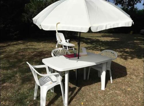 Κήπος έξω από το Stemicar dans les Landes