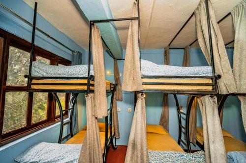 a room with three bunk beds in a house at Rest Up Kathmandu Hostel in Kathmandu