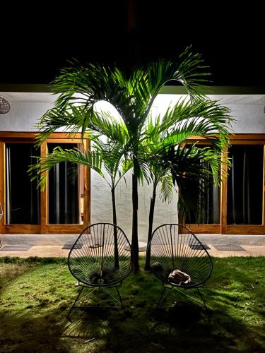 a palm tree and two chairs next to a palm tree at Apartment Lodge Tres Palmas. Apartment #1 in Temalhuacán