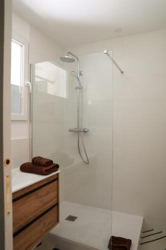 une salle de bain avec une douche avec une porte vitrée dans l'établissement Appartement rez-de-chaussée et patio, à Romans-sur-Isère