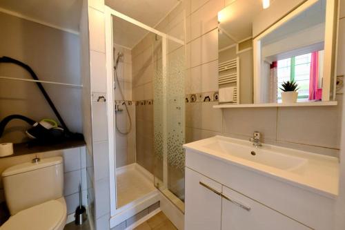 a bathroom with a shower and a sink and a toilet at Rouen centre - Aux portes de Saint Maclou in Rouen