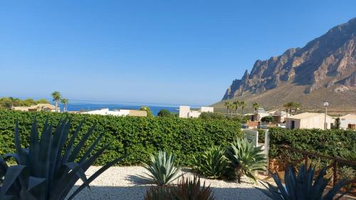 a garden with plants and a mountain in the background at I due Ulivi Cornino in Custonaci