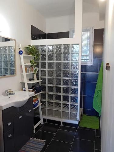 La salle de bains est pourvue d'un lavabo et d'une paroi en verre. dans l'établissement Appartement - Toulon, à Toulon