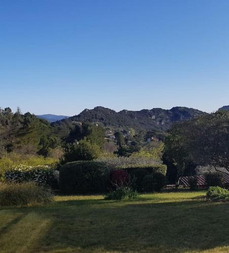 a field with bushes and a mountain in the background at A l'ombre du chêne Piscine & Spa Gîtes Eden en Cévennes à Anduze Gard in Anduze