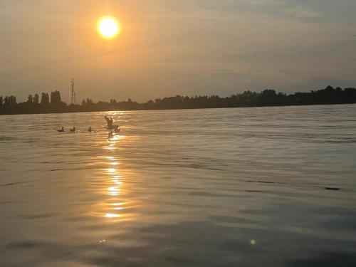 una persona in barca al tramonto di Lotus Retreat a Ghermăneşti