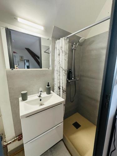 une salle de bain avec un lavabo blanc et une douche dans l'établissement Studio 12 Proche Centre Ville avec Wifi Parking Troyes, à Troyes
