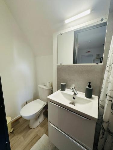 une salle de bain avec un lavabo, des toilettes et un miroir dans l'établissement Studio 12 Proche Centre Ville avec Wifi Parking Troyes, à Troyes