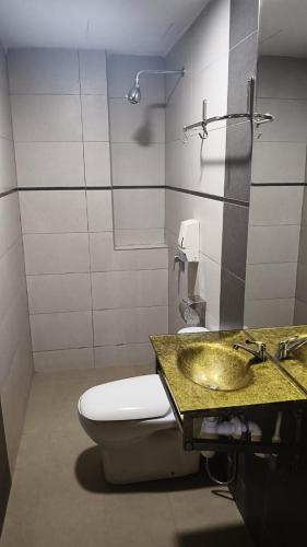 a bathroom with a sink and a toilet and a counter at Bluebell Hotel skudai in Kempas