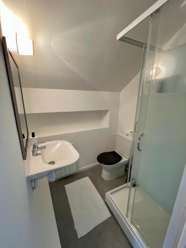 une salle de bain avec un lavabo et des toilettes dans l'établissement façon loft vaste T2 residence du haras, à Lamballe Armor